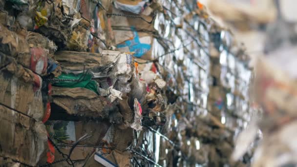 Lixo de papelão prensado recolhido para reciclagem, de perto. Pilhas de lixo prensado numa fábrica de reciclagem . — Vídeo de Stock