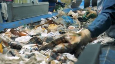 İki işçi bir geri dönüşüm tesisi bir konveyör taşıma çöp sıralama.