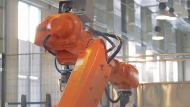 Modern fabrik koncept. Robot arm packning produkter. — Stockvideo