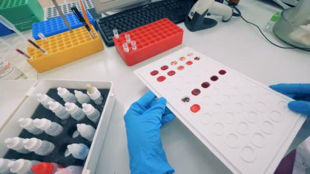 Trabajador de laboratorio sostiene una paleta con muestras de sangre — Vídeo de stock