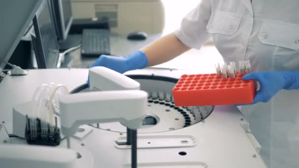 실험실 직원 이 생화학 분석 기에 시험관을 삽입하고 있습니다. — 비디오