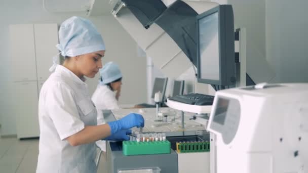 Laboratuvar uzman bir palet test tüpleri Farmakoloji, ilaç fabrikası ile doldurma. — Stok video