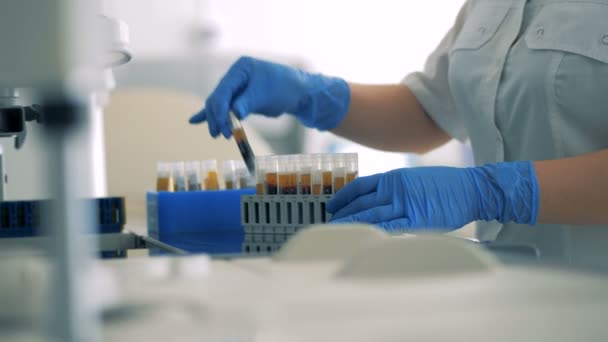 Закрыть руки лаборантов, перемещающих зонды кровью — стоковое видео