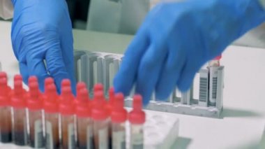 Laboratuvar personel kan test tüplerini kontrol ve bir paleti içine koyarak