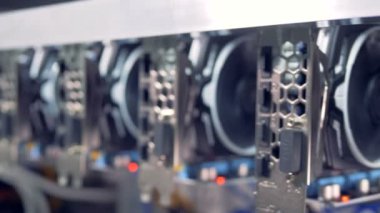 Bitcoin madenciler dizi kablolu raflar kurmak. Cryptocurrency madencilik. Bitcoin çiftlik.
