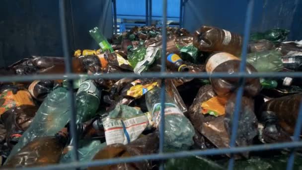 Un sacco di bottiglie di plastica usate immagazzinate dietro le sbarre . — Video Stock