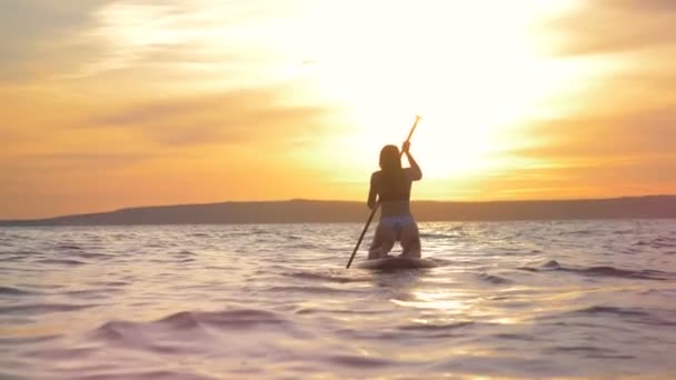 La mujer está nadando en un paddleboard durante la puesta del sol. Concepto de personas activas libres . — Vídeos de Stock