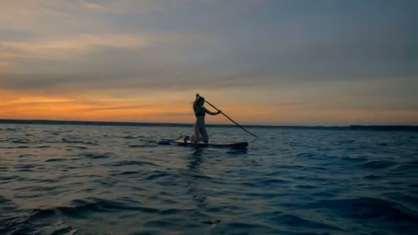 Молода жінка в купальнику стоїть на колінах і веслує — стокове відео