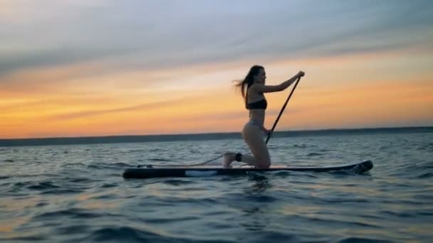 Mujer joven y elegante remando en su tabla de surf. Libertad, concepto de aventura . — Vídeos de Stock