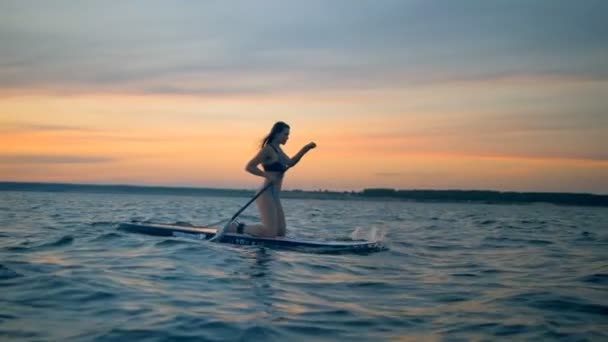 彼女のボードのそれに浮かぶスリムな魅力的な女の子と夕日水景。自由概念冒険. — ストック動画