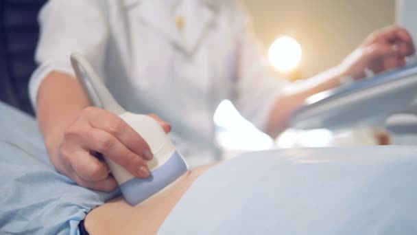 Médecin guide un capteur le long de la surface du ventre pendant l'échographie — Video