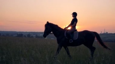 Profesyonel sporcu ata, yan görünüm gider.