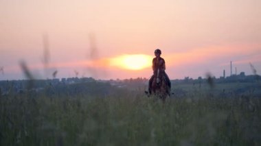 Kadın atlet çok geniş bir alan üzerinden bir kahverengi at hızlı gider.