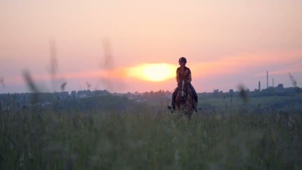 Kvinnliga idrottare går snabbt på en brun häst genom ett stort fält. — Stockvideo