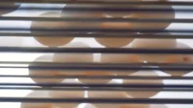 Beyaz yumurta olumsuz görünümünde metal konveyör bant boyunca hareket ediyor