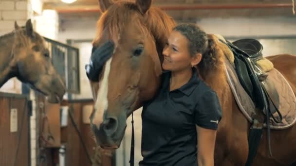 Profisportler tätschelt ein Pferd in einem Stall. Liebeskonzept Mensch und Tier. — Stockvideo