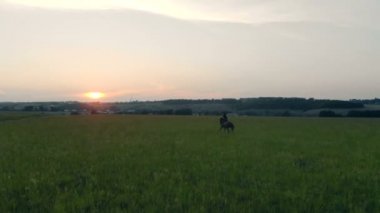 Dört nala koşan kadın ata.