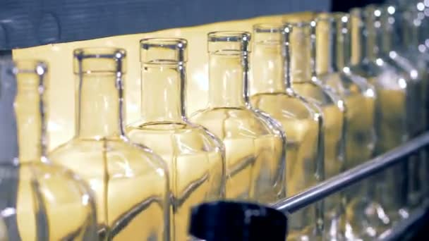 Botellas de glaass vacías en un transportador, de cerca . — Vídeo de stock