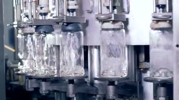 Proceso de llenado de botellas, primer plano. Una máquina llena botellas con alcohol . — Vídeo de stock