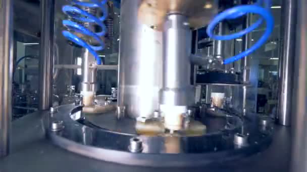 Roterende machine zet caps op flessen, close-up. — Stockvideo