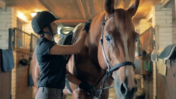 女性ブラシ馬のたてがみ、クローズ アップ。競技者は車に乗って、彼女の馬を準備し、そのたてがみをブラッシング. — ストック動画