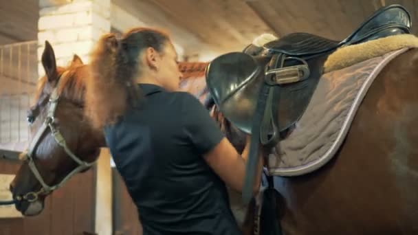 Jezdkyně upíná pásy na sedlo, zblízka. — Stock video