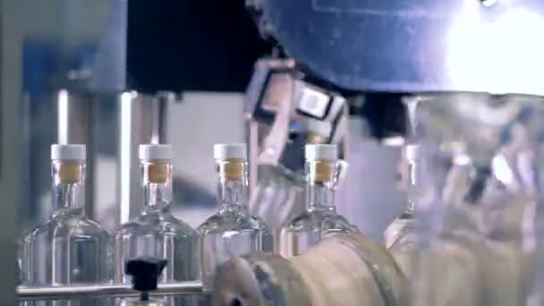 Volle Flaschen stehen zur Kontrolle in der Schlange, aus nächster Nähe. Automatische Fabrikausrüstung. — Stockvideo
