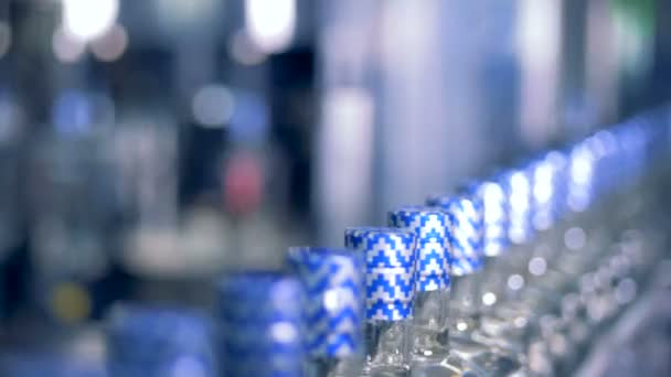 Assembly line with bottles, close up. — Stock Video