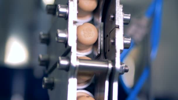 Cork lids on a conveyor, close up. — Stock Video