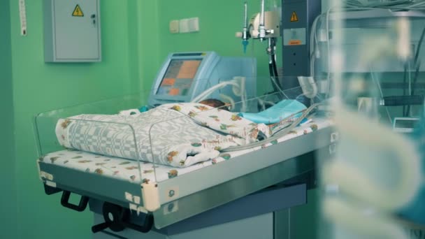 Ιατρική αίθουσα με ένα νεογέννητο μωρό ξαπλωμένη σε ένα κουτί, θερμοκοιτίδα. 4k. — Αρχείο Βίντεο