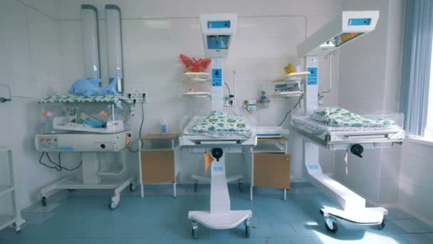Hospital unit with newborn babies lying in boxes — Stock Video