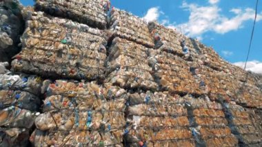Çöplük, preslenmiş plastik şişe bir sürü yakın çekim.