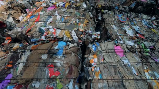 Basura prensada en una fábrica de reciclaje, de cerca . — Vídeos de Stock