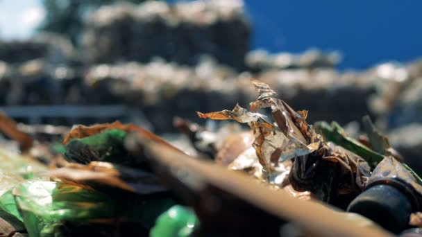 Plastikverpackung auf einer Müllkippe, Nahaufnahme. — Stockvideo