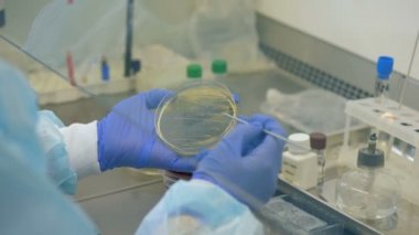 Bir örnek bir laboratuvarda incelenmesi işçi el yakın çekim