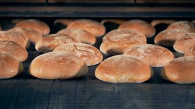 Bir satıra yuvarlak ekmek. Özel bir bitki üzerinde pişmiş ekmek bir konveyör gider.