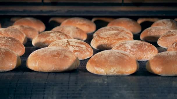 Rundes Brot auf einer Linie. Brot, das auf einer speziellen Anlage gebacken wird, geht auf ein Förderband. — Stockvideo