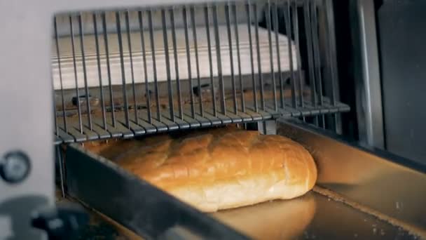Spezialgeräte schneiden Brotlaibe auf einem Fließband. — Stockvideo