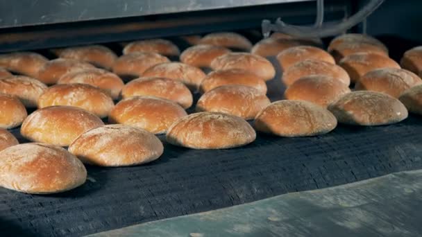 Anlagen sprühen Brot, aus nächster Nähe. Viele Brotlaibe gehen am Band, während eine Maschine sprüht. — Stockvideo