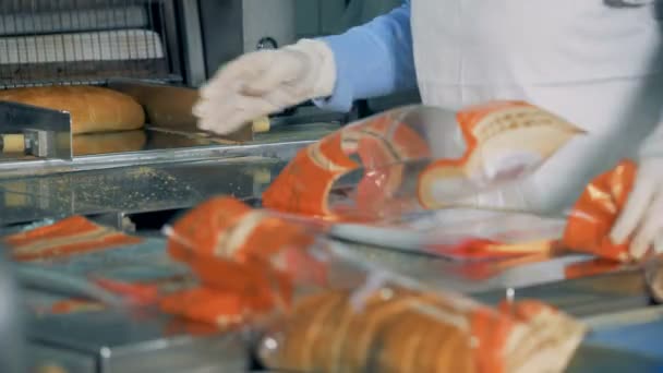 Brotverpackung in einem Werk. Eine Frau legt Laibe in Plastikverpackungen auf ein Förderband. — Stockvideo