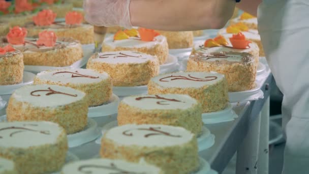 Many garnished cakes on a table, close up. — Stock Video