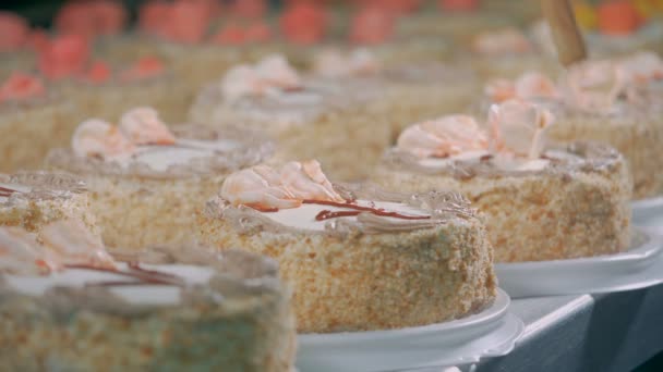 Εργαζόμενος διακοσμεί κέικ με τριαντάφυλλα, κοντινό πλάνο. — Αρχείο Βίντεο
