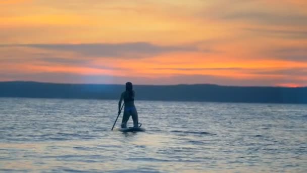 Conceito de estilo de vida ativo. Senhora remando de joelhos em águas do pôr do sol — Vídeo de Stock