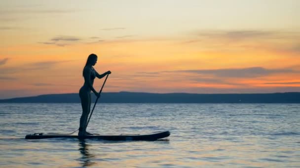 Schlanke attraktive Frau bewegt sich mit ihrem Paddelbrett über das Wasser des Sonnenuntergangs — Stockvideo