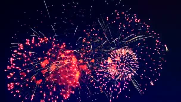 Exposição de fogo de artifício de Ano Novo. fundo fogos de artifício bonito . — Vídeo de Stock