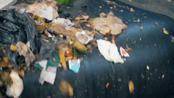 Бытовой мусор падает с конвейера, крупным планом . — стоковое видео