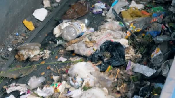 Σκουπίδια πηγαίνει σε ένα μεταφορέα για την ανακύκλωση σε ένα ειδικό εργοστάσιο. 4k. — Αρχείο Βίντεο