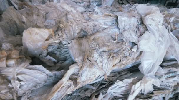 Wastepaper at a recycling factory, close up. Paper for recycling is piled in a factory room. — Stock Video