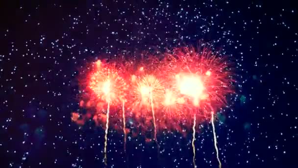 Éjszakai égbolt szikrázó tűzijáték — Stock videók