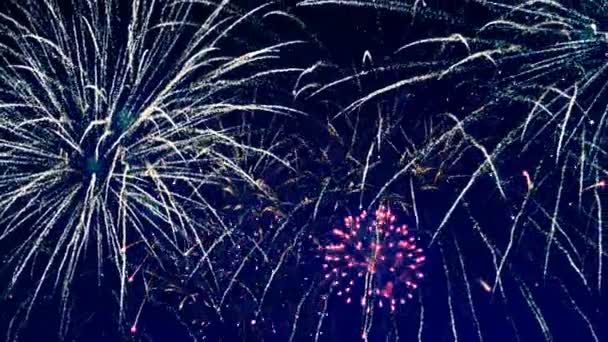 Fogos de artifício multicoloridos — Vídeo de Stock